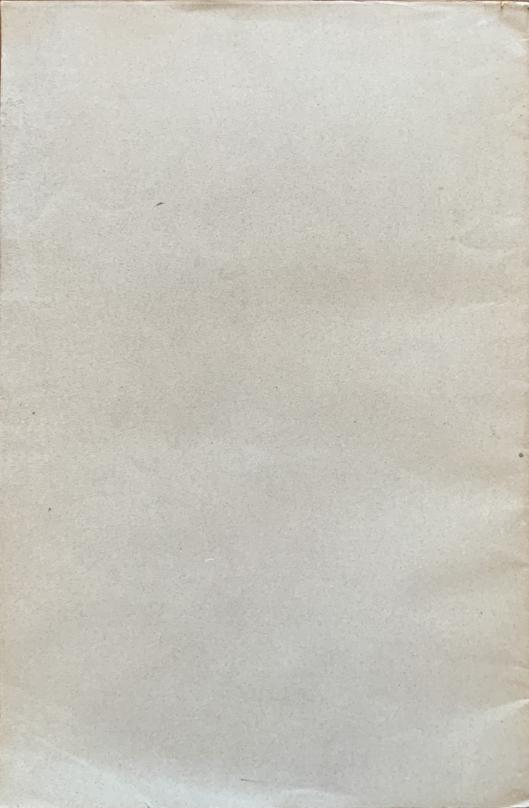 Pietro Desiderio Pasolini - Del palazzo di Teodorico in Ravenna   [Galeati Imola, 1875] - immagine 2