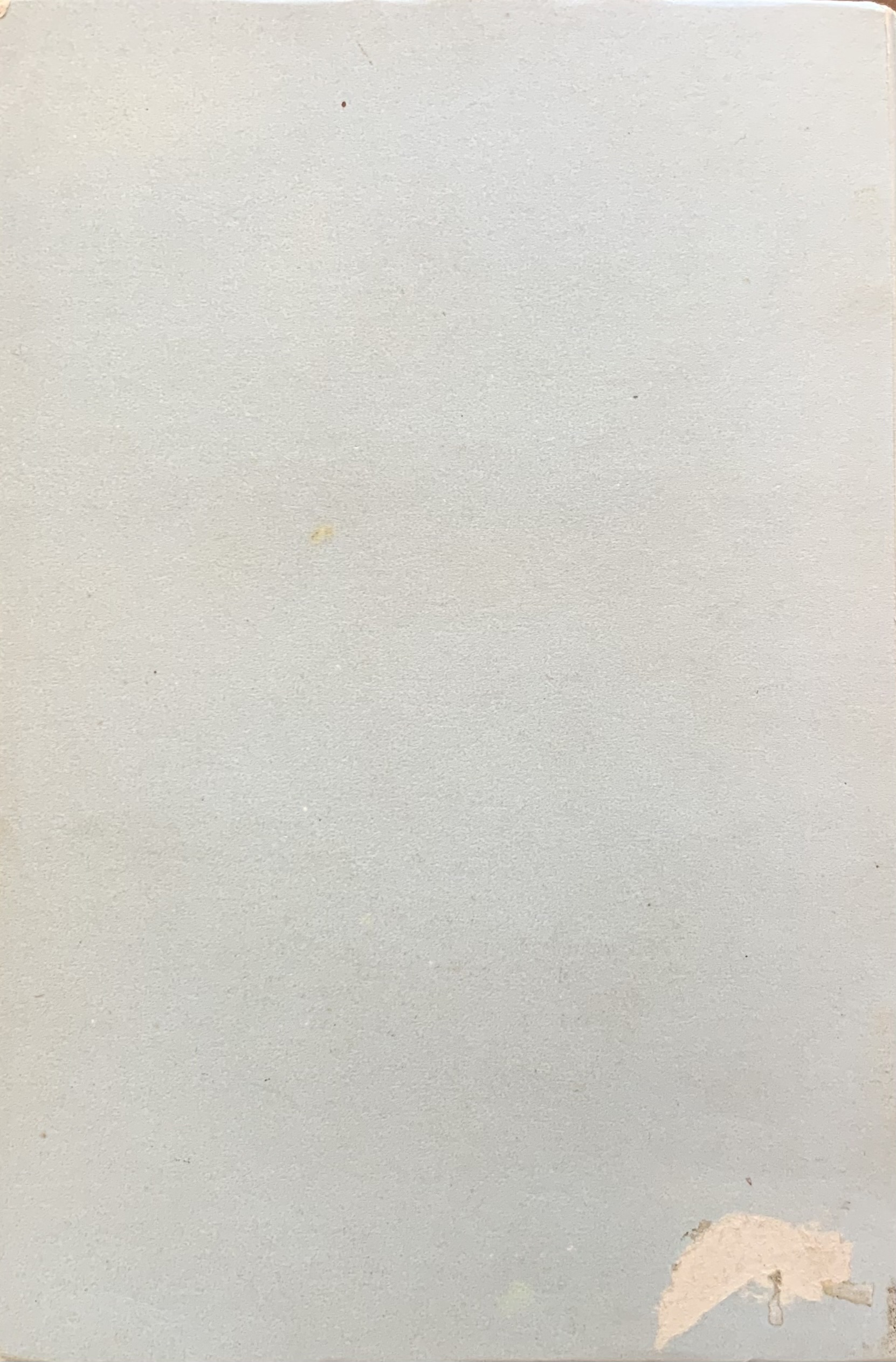 Enrico Caffi - Gli uccelli del bergamasco  [Edizioni S.E.S.A. Bergamo, 1951] - immagine 2
