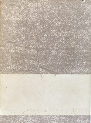 Spallicci, Aldo - Biset (Bigello). Poesie in volgare di Romagna   [Garzanti Milano, 1949] - immagine 2
