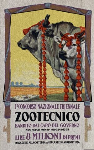 Cartolina d'epoca - 1° Concorso Nazionale Triennale Zootecnico 1930
