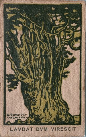 Cartolina d'epoca - Il Cipresso di San Francesco Rimini 1926