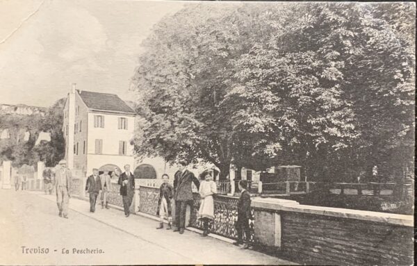 Cartolina d'epoca - Treviso. La Pescheria 1912