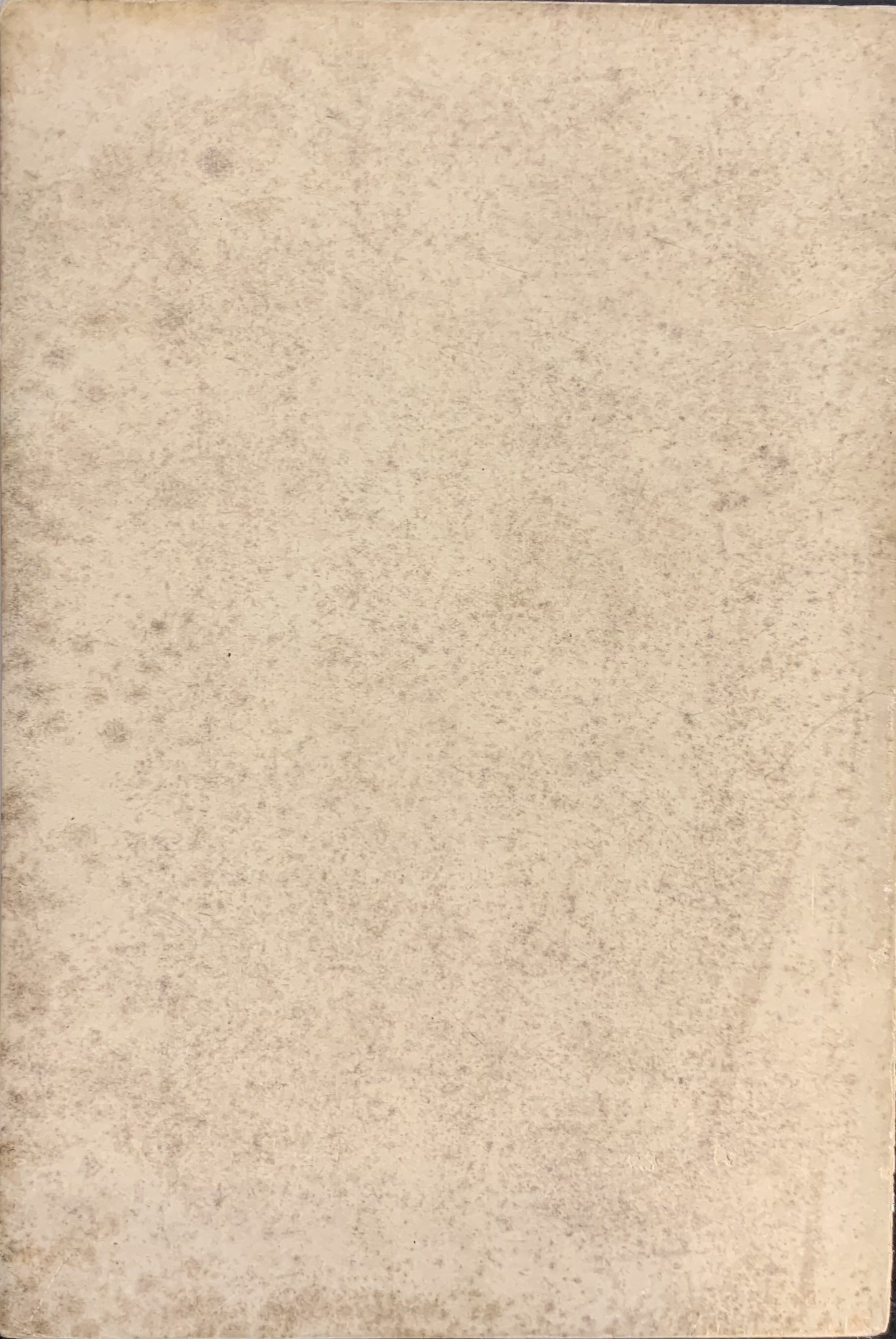 Beltramelli, Antonio - Ravenna la taciturna   [Alinari Firenze, 1907] - immagine 2