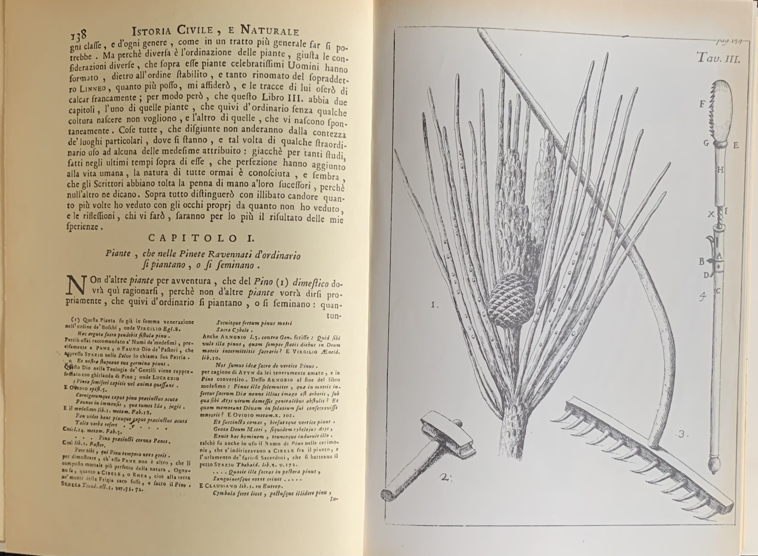 Ginanni, Francesco - Istoria civile e naturale delle pinete ravennati   [Forni Bologna, 1973] - immagine 4