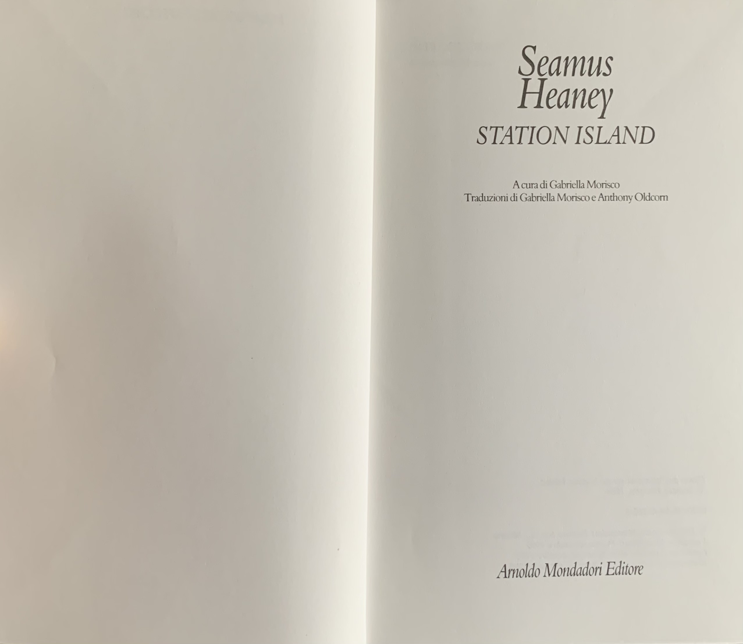 Heaney, Seamus - Station Island   [Mondadori Milano, 1996] - immagine 3