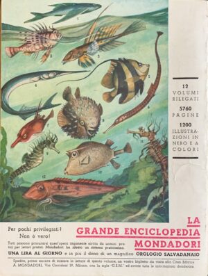 Simenon, Georges - La testa di un uomo   [Mondadori Milano, 1933] - immagine 2