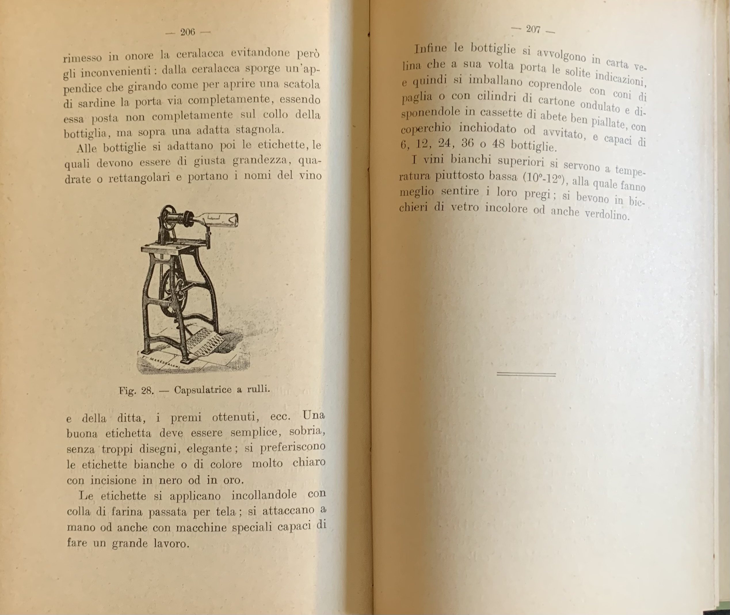 Carpentieri, Francesco - I vini bianchi da pasto   [Fratelli Marescalchi Casale Monferrato, 1913] - immagine 4
