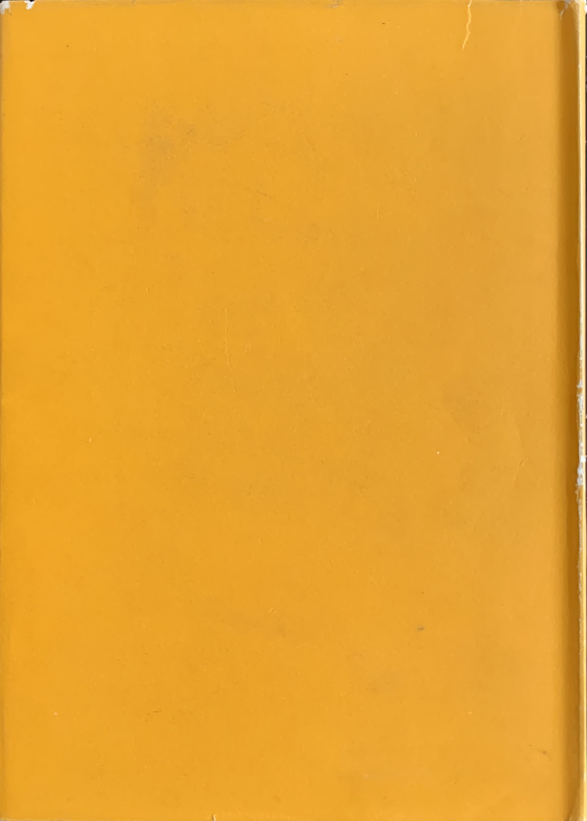 Wittgenstein, Ludwig - Ricerche filosofiche   [Einaudi Torino, 1967] - immagine 2