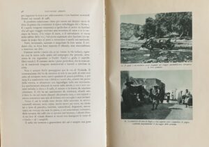 Aponte, Salvatore - La vita segreta dell'Arabia felice   [Mondadori Milano, 1936] - immagine 4