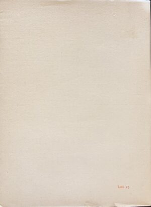Spallicci, Aldo - E' Stardacc (Lo Strillozzo)   [Fratelli Lega Faenza, 1939] - immagine 2