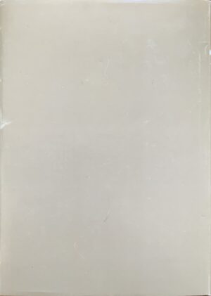 Schapiro, Meyer - L'arte moderna   [Einaudi Torino, 1986] - immagine 2