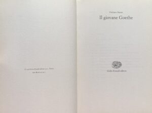 Baioni, Giuliano - Il giovane Goethe   [Einaudi Torino, 1996] - immagine 3
